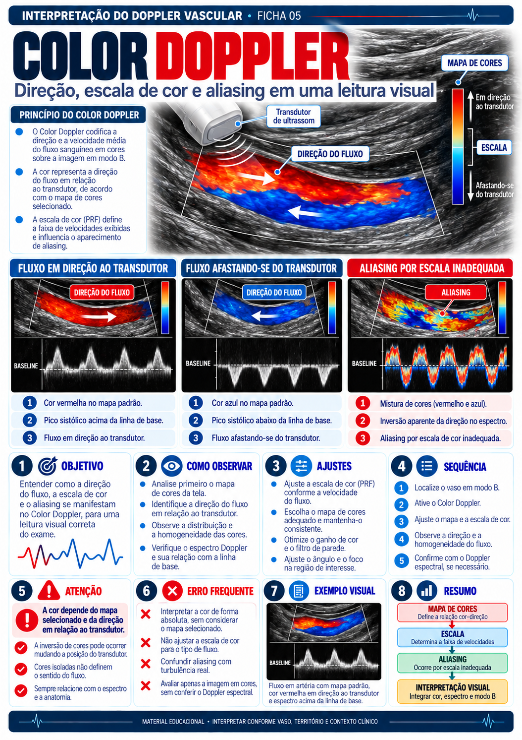 Color Doppler